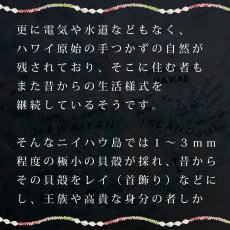 画像5: ニイハウシェルレイ柄  半袖 Tシャツ｜モダール レーヨン フレンチスリーブ スリムフィット ショートスリーブ (5)