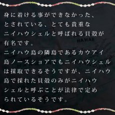 画像6: ニイハウシェルレイ柄  半袖 Tシャツ｜モダール レーヨン フレンチスリーブ スリムフィット ショートスリーブ (6)