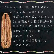 画像7: ニイハウシェルレイ柄  半袖 Tシャツ｜モダール レーヨン フレンチスリーブ スリムフィット ショートスリーブ (7)