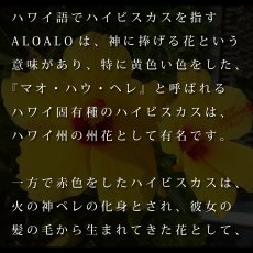 画像11: ALOALO 黄色ハイビスカスガール柄 プリント 半袖 Tシャツ｜モダール レーヨン フレンチスリーブ (11)