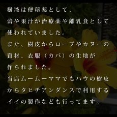 画像14: ALOALO 黄色ハイビスカスガール柄 プリント 半袖 Tシャツ｜モダール レーヨン フレンチスリーブ (14)