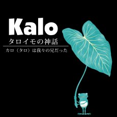画像6: Kalo（カロ）プリント柄 モダール レーヨン スリムフィット 7分袖 Tシャツ ネコポス送料無料 (6)