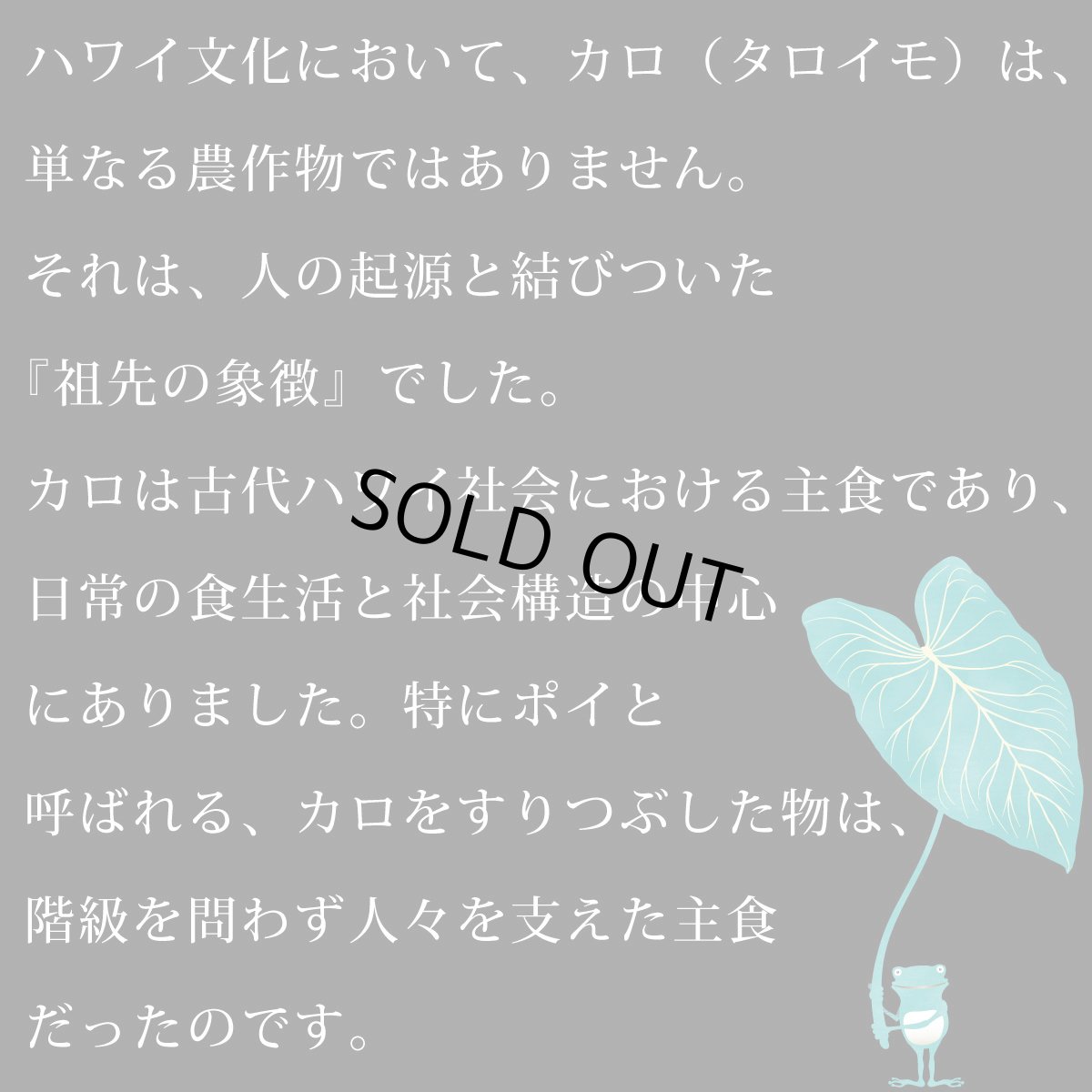 画像7: Kalo（カロ）グリーン柄 プリント 半袖 Tシャツ｜モダール レーヨン フレンチスリーブ スリムフィット ショートスリーブ (7)