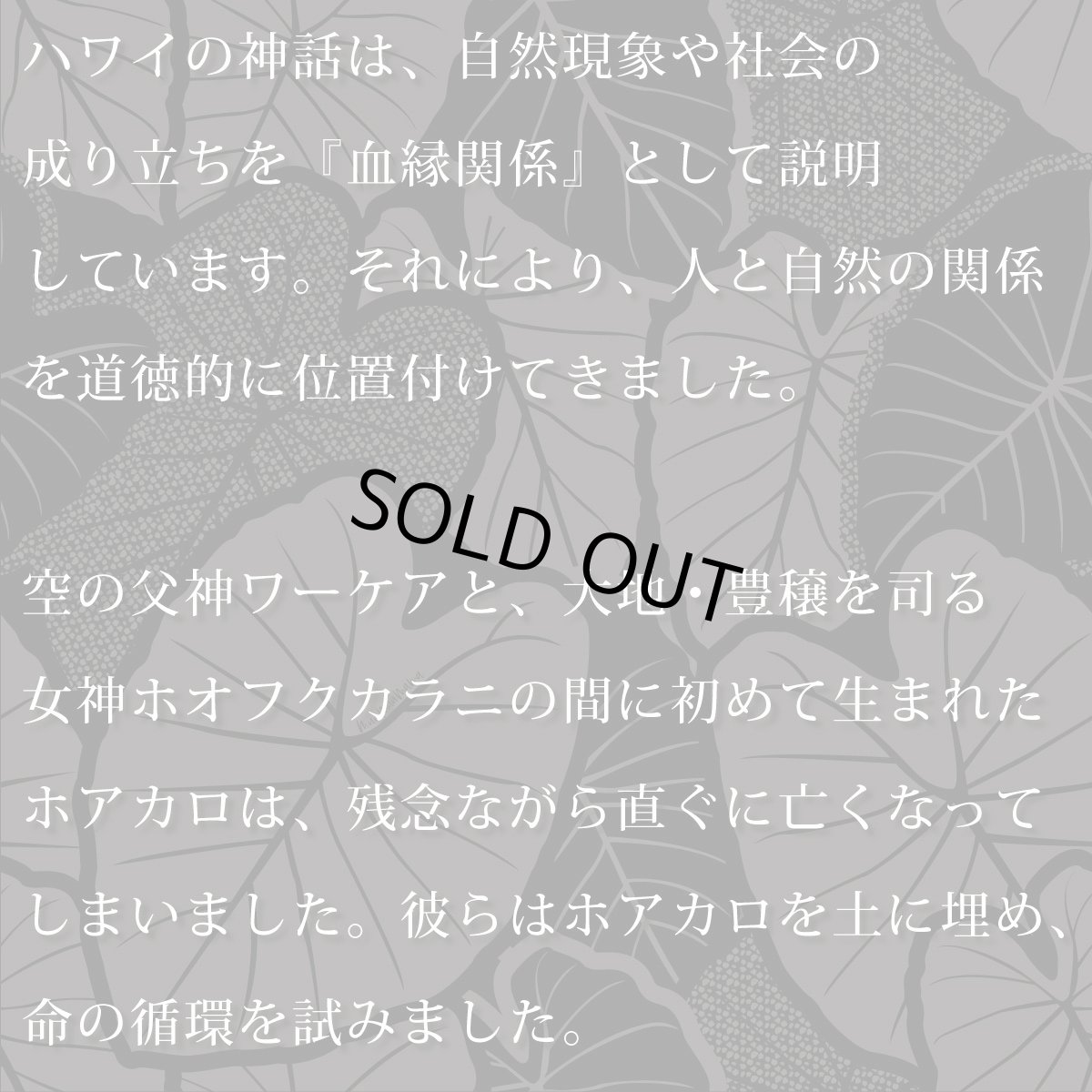 画像8: Kalo（カロ）グリーン柄 プリント 半袖 Tシャツ｜モダール レーヨン フレンチスリーブ スリムフィット ショートスリーブ (8)