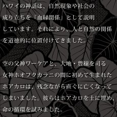 画像8: Kalo（カロ）プリント柄 モダール レーヨン スリムフィット 7分袖 Tシャツ ネコポス送料無料 (8)