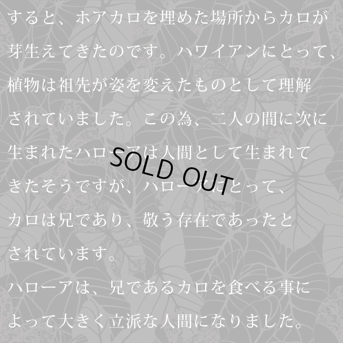 画像9: Kalo（カロ）グリーン柄 プリント 半袖 Tシャツ｜モダール レーヨン フレンチスリーブ スリムフィット ショートスリーブ (9)