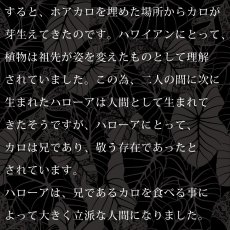 画像9: Kalo（カロ）プリント柄 モダール レーヨン スリムフィット 7分袖 Tシャツ ネコポス送料無料 (9)