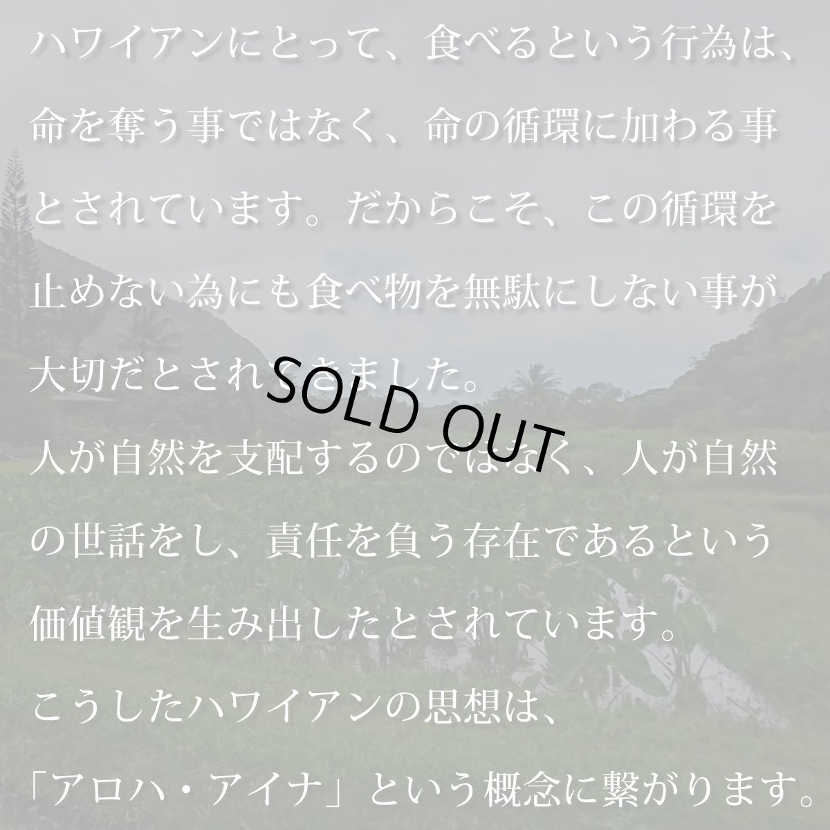 画像10: Kalo（カロ）グリーン柄 プリント 半袖 Tシャツ｜モダール レーヨン フレンチスリーブ スリムフィット ショートスリーブ (10)