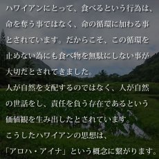 画像10: Kalo（カロ）プリント柄 モダール レーヨン スリムフィット 7分袖 Tシャツ ネコポス送料無料 (10)