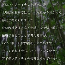 画像11: Kalo（カロ）プリント柄 モダール レーヨン スリムフィット 7分袖 Tシャツ ネコポス送料無料 (11)