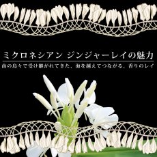 画像6: ミクロネシアンジンジャーレイ柄 プリント 半袖 Tシャツ｜モダール レーヨン フレンチスリーブ スリムフィット ショートスリーブ (6)