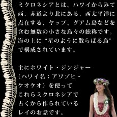 画像7: ミクロネシアンジンジャーレイ柄 プリント 半袖 Tシャツ｜モダール レーヨン フレンチスリーブ スリムフィット ショートスリーブ (7)