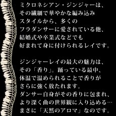 画像8: ミクロネシアンジンジャーレイ柄 プリント 半袖 Tシャツ｜モダール レーヨン フレンチスリーブ スリムフィット ショートスリーブ (8)