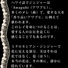 画像9: ミクロネシアンジンジャーレイ柄 プリント 半袖 Tシャツ｜モダール レーヨン フレンチスリーブ スリムフィット ショートスリーブ (9)
