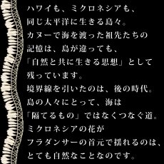 画像11: ミクロネシアンジンジャーレイ柄 プリント 半袖 Tシャツ｜モダール レーヨン フレンチスリーブ スリムフィット ショートスリーブ (11)