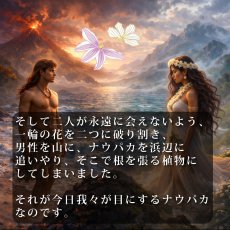 画像20: ナウパカプリント柄生地 フラダンス 舞台衣装 ラウンドネック ロングドレス ポケット付き  Naupaka柄 (20)