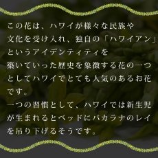 画像13: パカラナレイ プリント柄 6.2oz フライス 半袖 Ｔシャツ 白地 黒地 紺地 ネコポス送料無料 (13)