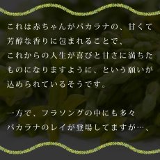 画像14: パカラナレイ プリント柄 6.2oz フライス 半袖 Ｔシャツ 白地 黒地 紺地 ネコポス送料無料 (14)