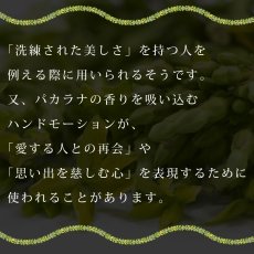 画像16: パカラナレイ プリント柄 6.2oz フライス 半袖 Ｔシャツ 白地 黒地 紺地 ネコポス送料無料 (16)