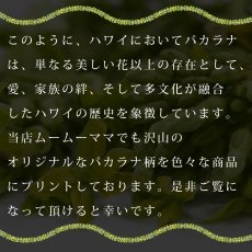 画像17: パカラナレイ プリント柄 6.2oz フライス 半袖 Ｔシャツ 白地 黒地 紺地 ネコポス送料無料 (17)