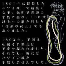 画像13: リリウオカラ プリント柄 ニ レーヨン モダール スリムフィット ショートスリーブ Tシャツ ネコポス送料無料 (13)