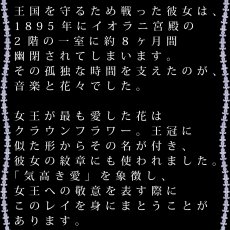 画像14: リリウオカラ プリント柄 ニ レーヨン モダール スリムフィット ショートスリーブ Tシャツ ネコポス送料無料 (14)