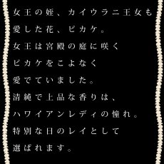 画像15: リリウオカラ プリント柄 ニ レーヨン モダール スリムフィット ショートスリーブ Tシャツ ネコポス送料無料 (15)