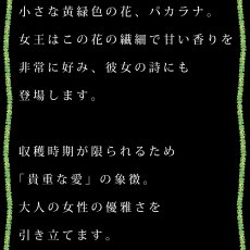 画像16: リリウオカラ プリント柄 ニ レーヨン モダール スリムフィット ショートスリーブ Tシャツ ネコポス送料無料 (16)