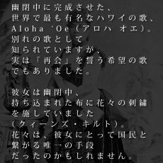 画像17: リリウオカラ プリント柄 ニ レーヨン モダール スリムフィット ショートスリーブ Tシャツ ネコポス送料無料 (17)