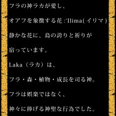 画像11:  イリマ&ピカケ プリント柄 6.2oz フライス 半袖 Ｔシャツ 白地 黒地 紺地 ネコポス送料無料 (11)