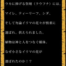 画像12:  イリマ&ピカケ プリント柄 6.2oz フライス 半袖 Ｔシャツ 白地 黒地 紺地 ネコポス送料無料 (12)
