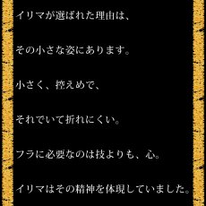 画像13:  イリマ&ピカケ プリント柄 6.2oz フライス 半袖 Ｔシャツ 白地 黒地 紺地 ネコポス送料無料 (13)