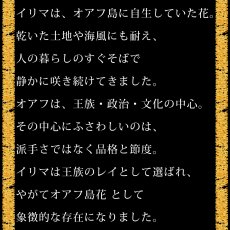 画像14:  イリマ&ピカケ プリント柄 6.2oz フライス 半袖 Ｔシャツ 白地 黒地 紺地 ネコポス送料無料 (14)