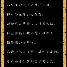 画像15:  イリマ&ピカケ プリント柄 6.2oz フライス 半袖 Ｔシャツ 白地 黒地 紺地 ネコポス送料無料 (15)