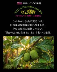 画像13: ウル柄 6.2oz フライス 半袖 Ｔシャツ 白地 黒地 紺地 ネコポス送料無料 (13)