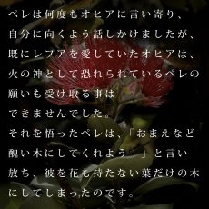 画像12: ペレとオヒアレフア柄 6.2oz フライス 半袖 Ｔシャツ 白地 黒地 紺地 (12)