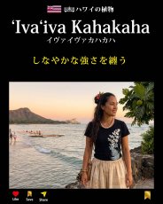 画像3: イヴァイヴァ カハカハ柄 6.2oz フライス 半袖 Ｔシャツ 白地 黒地 紺地 ネコポス送料無料 (3)