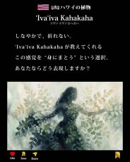 画像12: イヴァイヴァ カハカハ柄 6.2oz フライス 半袖 Ｔシャツ 白地 黒地 紺地 ネコポス送料無料 (12)