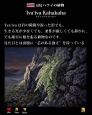 画像5: イヴァイヴァ カハカハ柄 6.2oz フライス 半袖 Ｔシャツ 白地 黒地 紺地 ネコポス送料無料 (5)