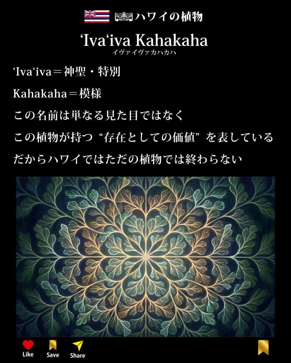 画像6: イヴァイヴァ カハカハ柄 6.2oz フライス 半袖 Ｔシャツ 白地 黒地 紺地 ネコポス送料無料 (6)