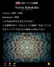 画像6: イヴァイヴァ カハカハ柄 6.2oz フライス 半袖 Ｔシャツ 白地 黒地 紺地 ネコポス送料無料 (6)
