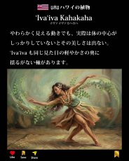 画像7: イヴァイヴァ カハカハ柄 6.2oz フライス 半袖 Ｔシャツ 白地 黒地 紺地 ネコポス送料無料 (7)