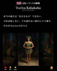 画像8: イヴァイヴァ カハカハ柄 6.2oz フライス 半袖 Ｔシャツ 白地 黒地 紺地 ネコポス送料無料 (8)