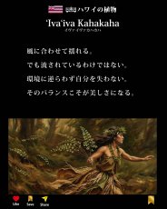画像9: イヴァイヴァ カハカハ柄 6.2oz フライス 半袖 Ｔシャツ 白地 黒地 紺地 ネコポス送料無料 (9)