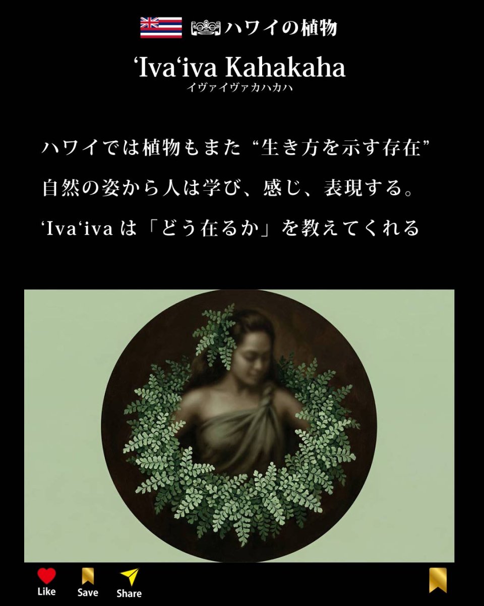 画像10: イヴァイヴァ カハカハ柄 6.2oz フライス 半袖 Ｔシャツ 白地 黒地 紺地 ネコポス送料無料 (10)