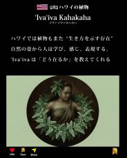 画像10: イヴァイヴァ カハカハ柄 6.2oz フライス 半袖 Ｔシャツ 白地 黒地 紺地 ネコポス送料無料 (10)
