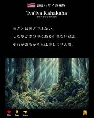 画像11: イヴァイヴァ カハカハ柄 6.2oz フライス 半袖 Ｔシャツ 白地 黒地 紺地 ネコポス送料無料 (11)