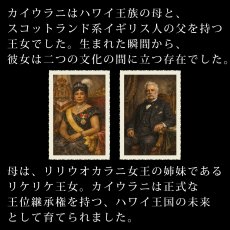 画像3: プリンセスカイウラニ王女柄プリント 6.2oz フライス 半袖 Ｔシャツ 白地 黒地 ピカケ＆マイレ柄 ネコポス送料無料 (3)