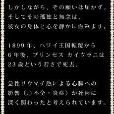 画像8: プリンセスカイウラニ王女柄プリント 6.2oz フライス 半袖 Ｔシャツ 白地 黒地 ピカケ＆マイレ柄 ネコポス送料無料 (8)