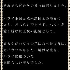 画像9: プリンセスカイウラニ王女柄プリント 6.2oz フライス 半袖 Ｔシャツ 白地 黒地 ピカケ＆マイレ柄 ネコポス送料無料 (9)